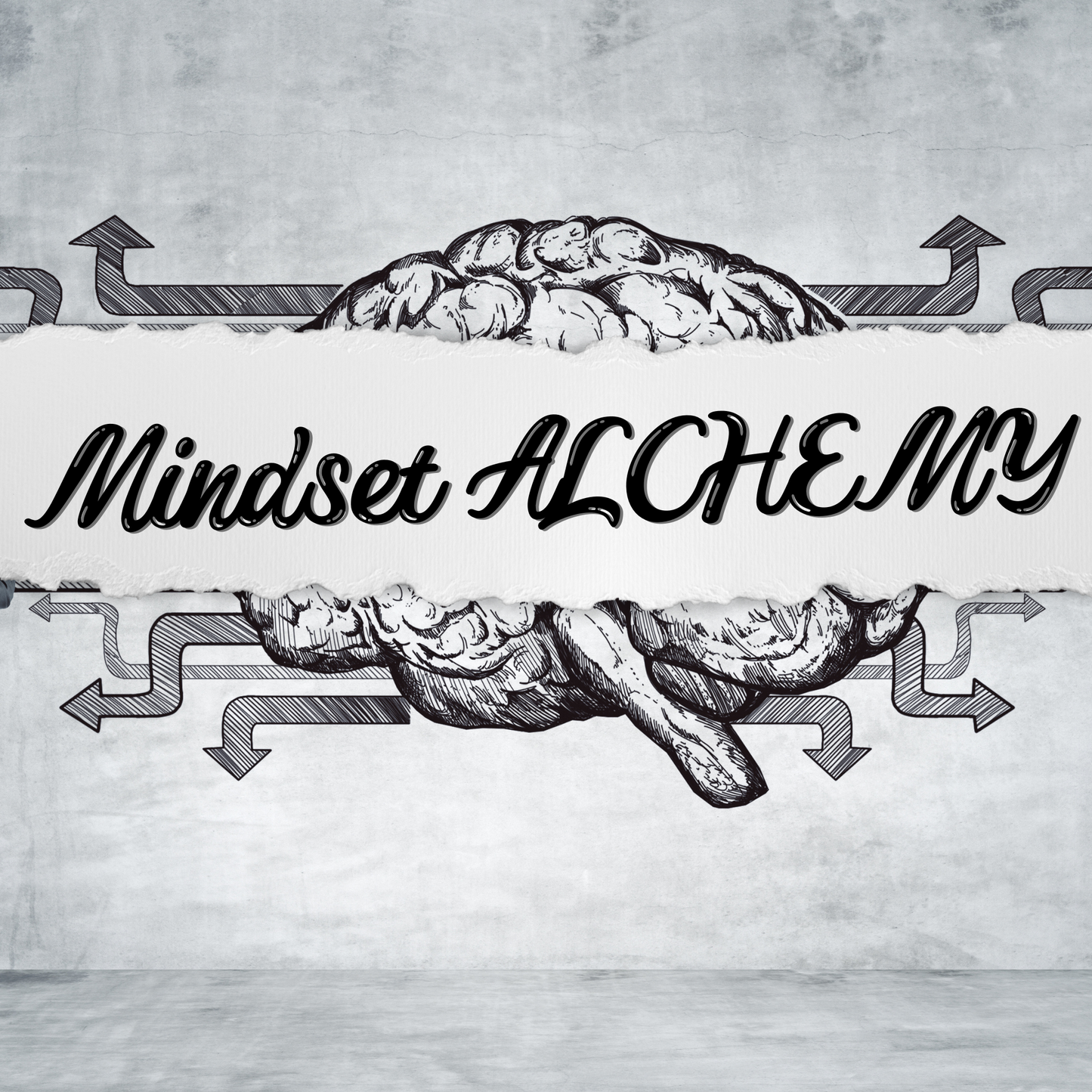 MINDSET ALCHEMY: The Neuroscientist's Playbook for Rewiring Anxiety into Advantage, Self-Doubt into Unshakeable Confidence, and Stress into Superhuman Focus